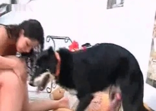 My doggy is a good fucker for hot bitches