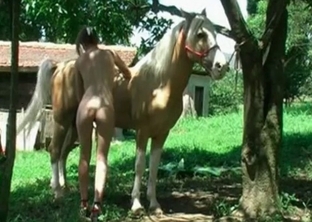 Sexy cute babe and a giant stallion