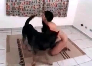 Zoophilic porn action with a tyke