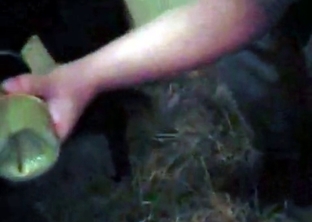 Horse cums a big load in POV bestiality