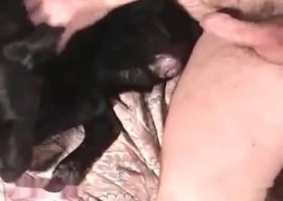 Sexy as hell dog likes hardcore sex