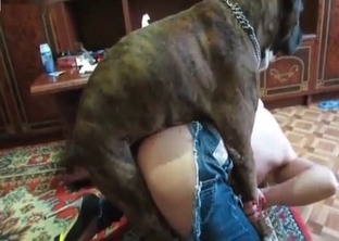 Black dog nicely pounds a sweet slut