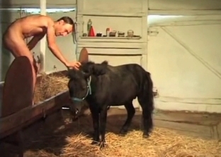 Horny pony has a hard dick