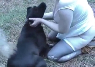 Dogs and ladies in amateur animality XXX
