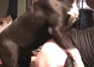 MILF likes dirty sex with her pet