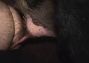 Nasty farm animal pounds a hairy asshole