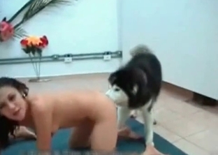 Kinky doggy violates a sensual blonde hooker