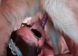 Pooch is totally banged by a filthy zoophliac