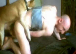 Passionate doggy and his bald owner enjoy anal sex