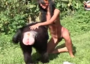 Outdoors bestiality action in HD