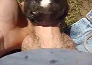Sexy lamb sucks my cock in POV mode