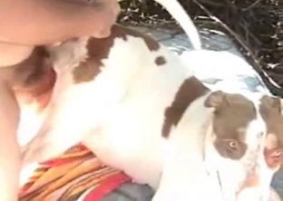 Sweet doggy and a horny zoophile are enjoying each other