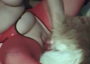 Bowwow nailed a juicy cunt