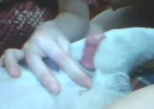 Bestiality sex with hairy pussy GF who gets licked