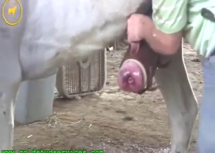 Finishing off a sexy animal that wants orgasms