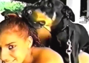 Dog is going to make redhead his personal bitch