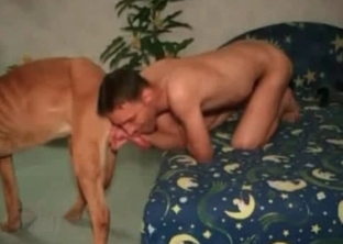 Male sucks dog dick with pleasure