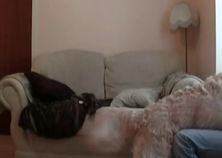 Whore hardly impaled by sexy puppy