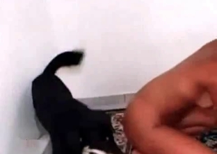 Tanned bitch and her passionate animal