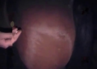 Anal sex with a sweet lovely stallion