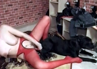 Tight pussy drilled by hot doggy