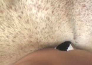 Barn bestiality looks so freaking awesome