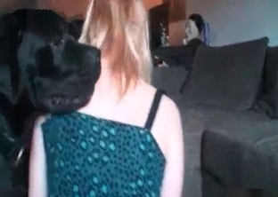 Black puppy love filthy sex in the bed