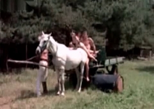 Anal sex with a perfect farm horse
