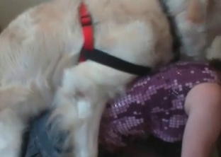 Nasty hairy dog in bestiality