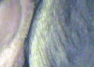 Stallion licked by a slutty zoophile