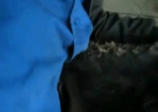 Owner impaled his lovely doggy