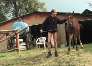 Zoofil sucks a boner of a horse
