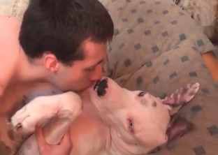 Dog in awesome bestiality action