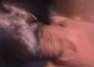 Sexy doggy gets banged by zoophile