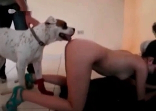 Innocent cute pet and a hot shaped zoophile